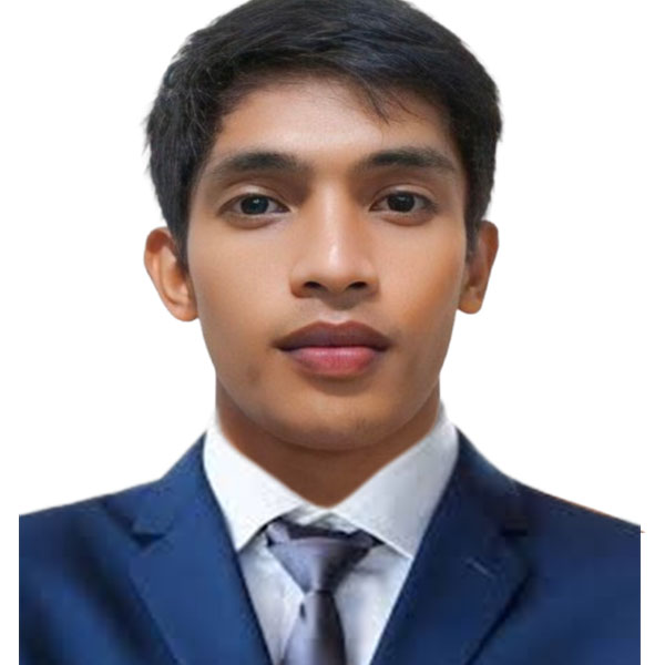 IT Developer